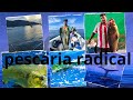 Arraial do cabo_cabo frio_ararruama_pesca mortal_pesca Nutela_caminha direto.......