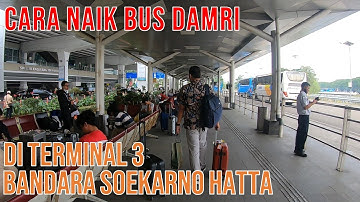 CARA NAIK BUS DAMRI DARI TERMINAL 3 BANDARA SOEKARNO HATTA KE KOTA LAINNYA | Versi Terbaru