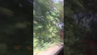 Journey by Bus Jessore to Barisal Part-26