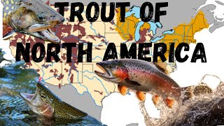 The Trout Species Of North America: An identification and range map trout guide