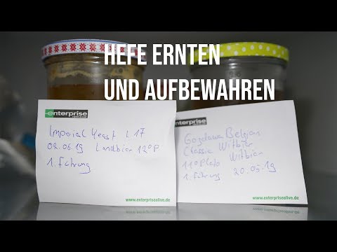 Video: Pro-Tipps Für Die Aufbewahrung Von Bier Und Die Organisation Ihres Kellers