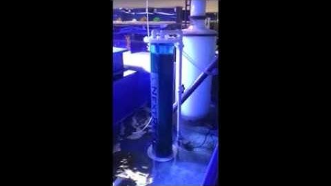 Next Reef SMR1 Biopellet Reactor