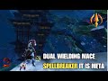 Guild Wars 2 - Spellbreaker PvP - Dual Wielding Mace, It is META!