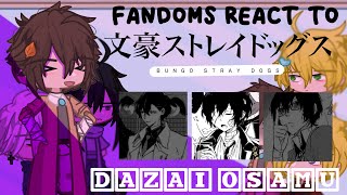 fandoms react to dazai osamu ; esp/eng ; 3/6 ; sokoku; ft. dazai gojo, meliodas, sasuke, & sanji