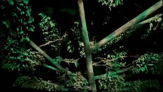 Vallende boom in Efteling-attractie Fabula eindelijk gerepareerd