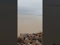 koshi nadi bekalal 😮😮😮 #bihar #koshi #baadh_ka_kahar #baadh #2025 #flood #maa #india #shorts #ganga