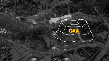 apmap 2017 jeju - mystic birth 티저 1 (Teaser 1)