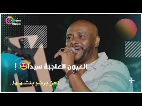 الملك جمال فرفور الظروف يا حلوة دايما