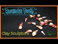 Sculpting Realistic Tooth_Polymer Clay_Life of Clay