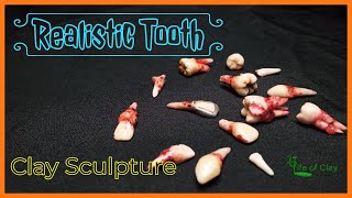 Sculpting Realistic Tooth_Polymer Clay_Life of Clay