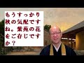 ～ほっとするおすすめの詩シリーズ「紫苑」～もうすっかり秋の気配ですね。紫苑の花をご存じですか？東井義雄先生との出遇い「そうだお坊さんとお茶しよう。」オンライン住職との気軽なコミニケーションコーナー～