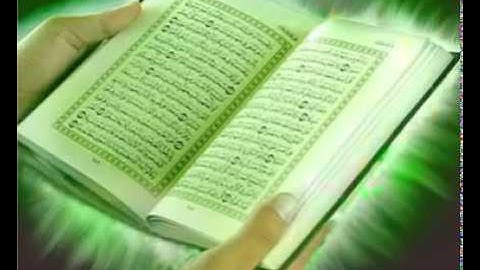 سورة الحجرات شيخ وليد الدليمي قران كريم Sheikh Walid al Dulaimi Holy Quran