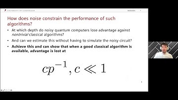 QIP2021 | Limitations of optimization algorithms on noisy quantum devices (Daniel Stilck França)