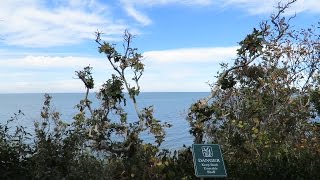 Hike to the highest bluff in Brewster!