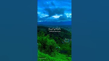 قران كريم  من سورة طه القارئ شريف مصطفى