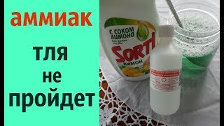 КАК ИСПОЛЬЗОВАТЬ АММИАК В БОРЬБЕ С ТЛЕЙ