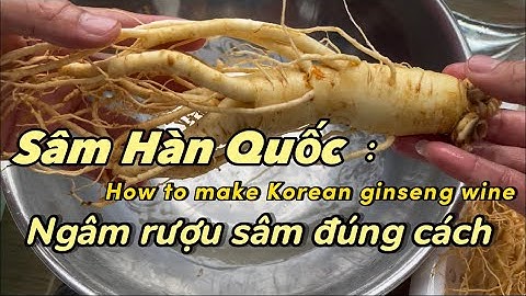 Ngâm rượu sâm Hàn Quốc đúng cách - How to make Korean ginseng wine