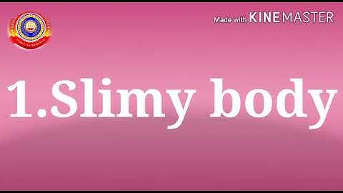 KRSMA#Standard 4 EVS Part 4 Chapter 1 Fields And Forests