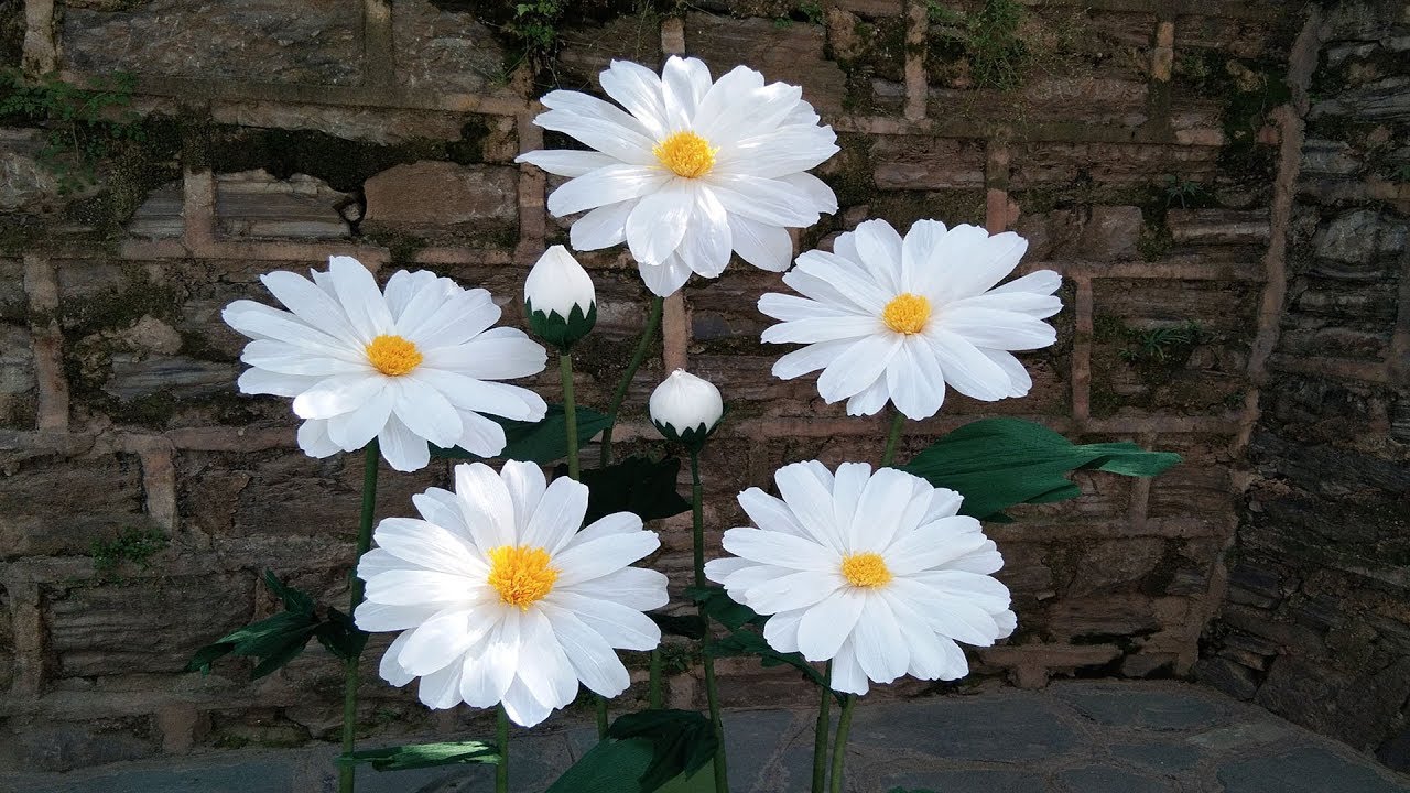 How To Make Giant Large Marguerite Daisy Paper Flowers-Wedding Home decoration, -Craft Tutorial