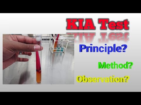 kligler iron agar test Microbiology