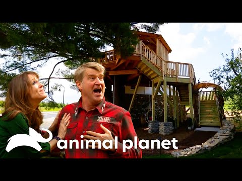 The Craziest Treehouses Of SEASON 5 Treehouse Masters Animal Planet 