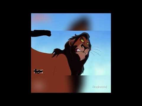 سكار ضحك على سيمبا الخروف قاعد في السيارة