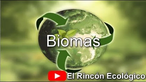 O que caracteriza um bioma?