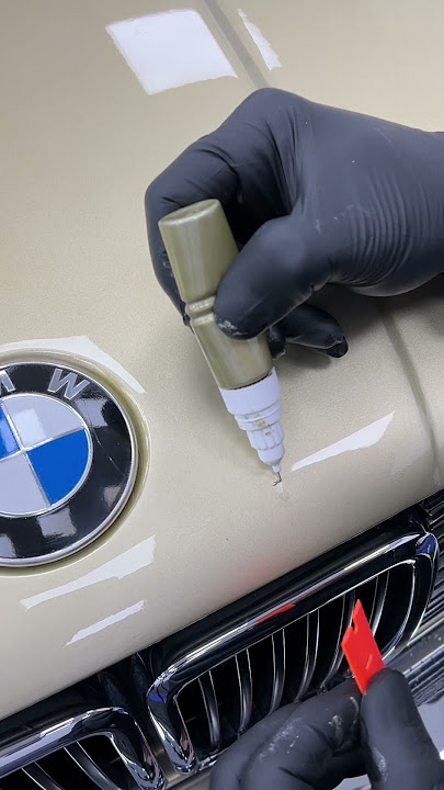Old school bmw touch up #detailing #details #paintcorrection