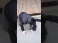 西本喜美子：逃走〜