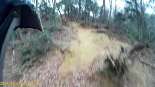 2016 1215 ε£ε