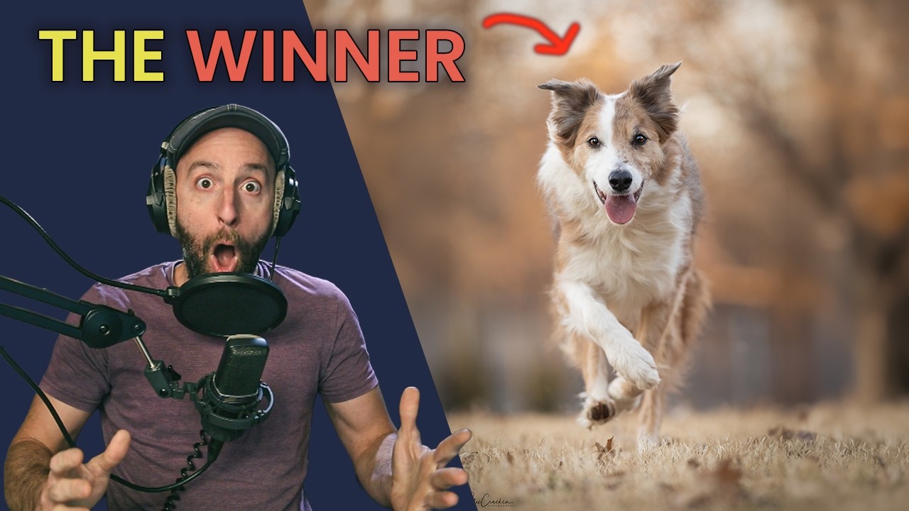 Top Photos for THIS Week's Challenge: 