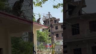 Mini vlog series 2 100 days challenge day 62