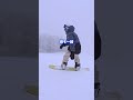 これであなたも上手い人です！！ #snowboarding #スノボ#スノーボード人口を増やしたい