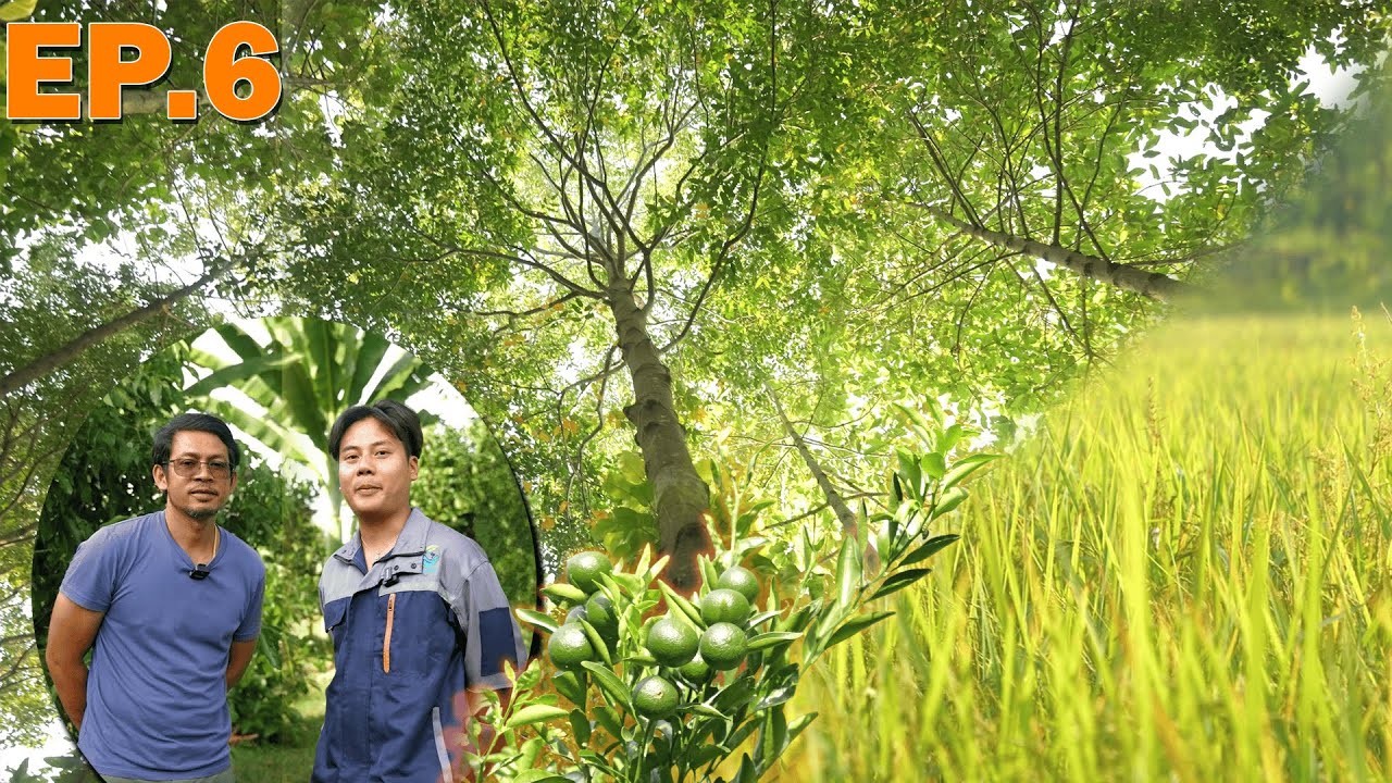 Agri Sight EP6: — วนพรรณการ์เด้น บ้านครูแขก อ.หนองเรือ จ.ขอนแก่น