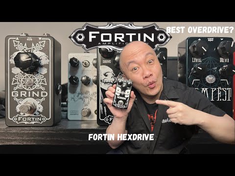 10457】 新品 FORTIN HEXDRIVE HEXDRIVE® – Fortin Amps