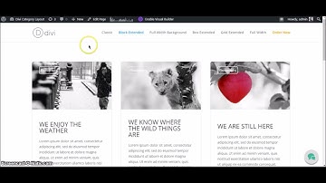 How to Change Category Background Color in Block Extended Layout of Divi Blog Extras