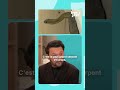 🐍 Une couleuvre sème la panique le jour de l’épreuve de philosophie du bac, à Nîmes !｜TF1 INFO