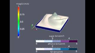 OpenFOAM simulation of diffusion inside cavity