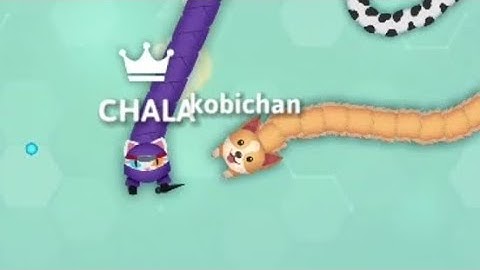 Tiny Snakes Hit My Body? Snake.io Epic Snake.io Gameplay #snake #chala