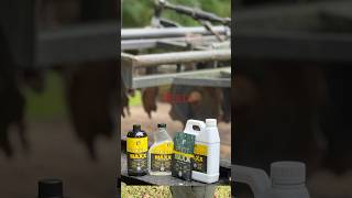 BIG BUCK MAGNET!!! Hidden Food Plot In The Hardwoods #shorts