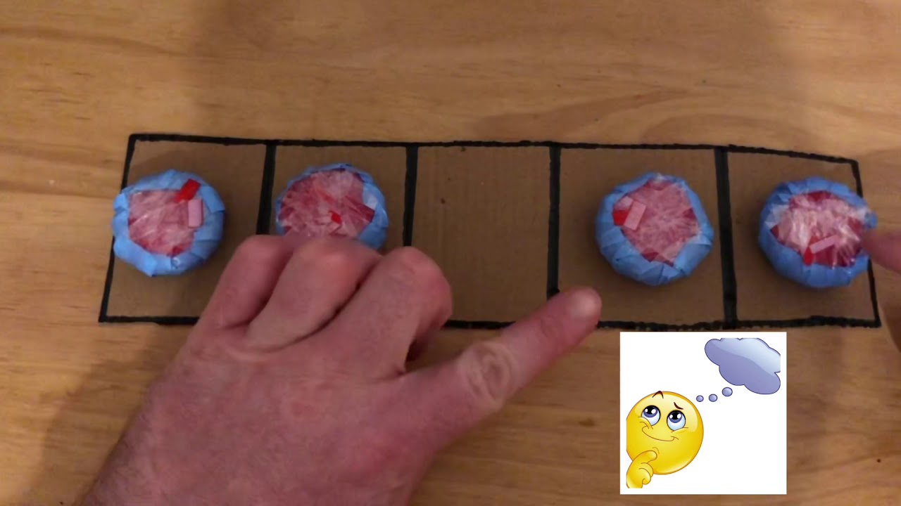 Maths: Number 5: lesson 2:- using a 5 frame and addition language - YouTube