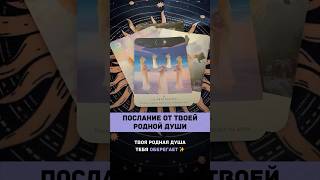Послание от твоей Родной Души | Таро расклад #таро #тарорасклад #тароонлайн #таролог #shortstarot