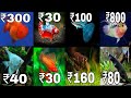 Aquarium Fish Price In India 2020