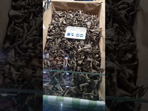 شاهد أغرب أنواع الفطر لهذا هي غالية جدا