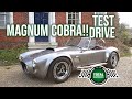 Cobra test drive magnum cobra  total headturners