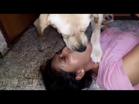 Cute aunty with dog