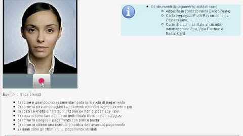 Web interactive audio / video agent with voice recognition