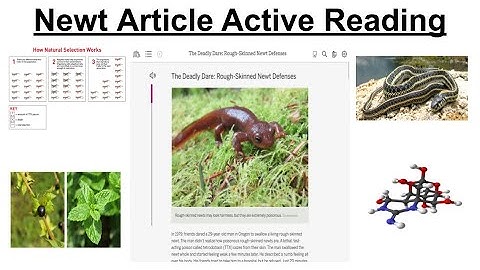 VIDEO GUIDE: Active Reading Strategies