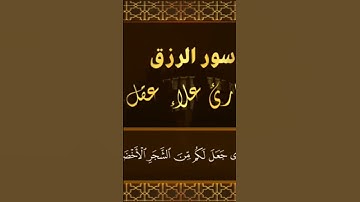 💚وضرب لنا مثلاً ونسي خلقة قال من يحيي العظام وهي رميم 💙للقارئ علاء عقل 💥🎙👍