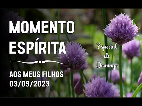 Momento Espírita - Aos Meus Filhos